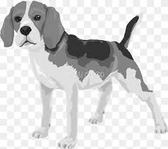 We did not find results for: Treeing Walker Coonhound Png Images Pngwing