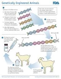 We would like to show you a description here but the site won't allow us. Introduction To Genetic Engineering And Its Applications Lesson Teachengineering