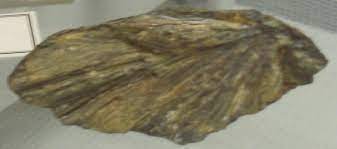 4.8 out of 5 stars 44. Maricite Wikipedia