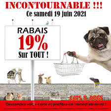 Dog 1080 download dog 1080 desktop backgrounds,photos in hd widescreen high quality screen resolutions for free. Cats Dogs Home Facebook