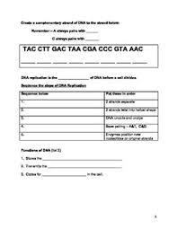 Dna Structure Function Homework Worksheet Dna Homework Worksheets Dna Project