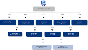 company structure stanbicibtcbank nigeria