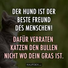 Der Hund Ist Der Beste Freund Des Menschen Kaufdex Lustige Spruche Hunde Katze Lustig Katzenspruche