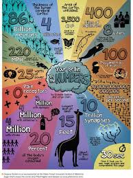 Your Brain By The Numbers Brain Based Learning School Psychology Neuroscience