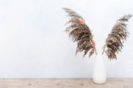 Hace unos días que me di cuenta la vida que dan las plantas a la decoración del hogar, nunca mejor dicho. Decoracion De Plantas Secas En Florero Foto Gratis