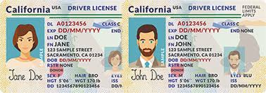 How to get licensed and the types of licences needed to legally drive different vehicles in alberta. Using A California Non Real Id Driver License Ok For The Form I 9 Hrwatchdog