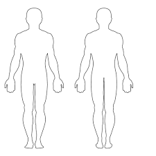 Every healthy human body has two kidneys, the left and the right. Drawing Outline Of Human Body Bitem