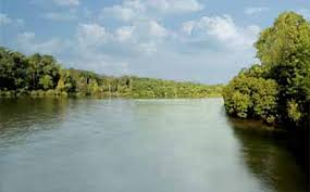 Lake bob sandlin state park, tx weather. Fishing Lake Bob Sandlin In East Tx Map Fish Species Lake Info