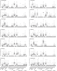 Image result for Tricalysia acocantheroides