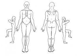The human body is an amazing structure made up of many fascinating parts and systems. Picture Of The Human Outline Of Human Body Front And Back Outline Body Outline Human Body Body