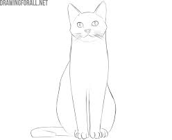 Draw four small ovals above the curved shape, indicating the toe or digital prints. How To Draw A Sitting Cat