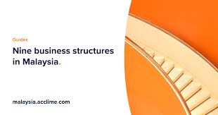We are a company based in malaysia, serving since 2002 to our clients and buyer from domestic international, doing wholesale retail of new crest geosystem sdn bhd is a specialised geosynthetics trading company based in malaysia. 7 Types Of Business Entities In Malaysia The Complete List Acclime