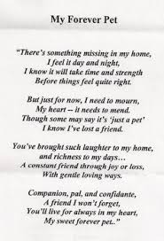 Pet loss quotes can provide a bit of support and comfort during a heartbreaking time. 72 Poems About Cats Ideas In 2021 Poems Pet Loss Grief Cats