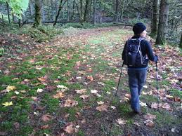 Best Fall Colors Hikes Near Portland