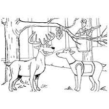 By best coloring pagesmay 23rd 2014. Top 10 Free Printable Wildlife Hunting Coloring Pages Online