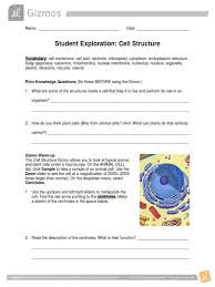 Smooth endoplasmic reticulum, mitochondria, golgi bodies, lysosomes. Cell Structure Se Eukaryotes Biology