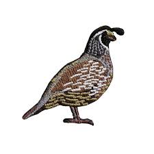 Image result for quail