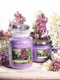 Lilac Blossoms Yankee Candle Is Just Yankee Candle Heaven In Stock Now Www Yankeearomadirect Co Uk Yankee Candle Accessories Yankee Candle Lilac Blossom
