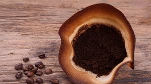 We did not find results for: Creative Ways To Use Coffee Filters Epicurious