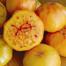 Graine De Tomate Ancienne Gold Medal Les Tomates D Autrefois Graine De Tomate Tomates Anciennes Tomates