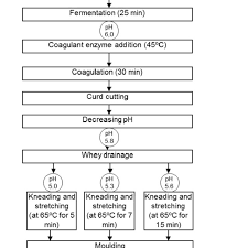 flow chart of processing of mozzarella cheeses made from