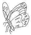Pencil Drawing Of A Fairy Dracopedia grants you safe, easy access to the world's most prominent dragon species, from tiny, innocuous feydragons to the ferocious wyvern. pencil drawing of a fairy