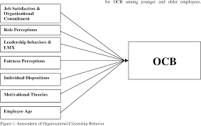 Pdf Organizational Citizenship Behavior Its Nature And Antecedents Semantic Scholar