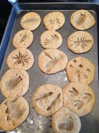 Easy To Make Creepy Crawly Bug Fossil Sugar Cookies Great Idea For A Creepy Crawly Boys Birthday Party Dinosaurs Preschool Dinosaur Fossils Dinosaur