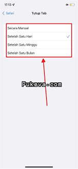 Cara Menutup Otomatis Tab Safari di iPhone dan iPad | PUKEVA