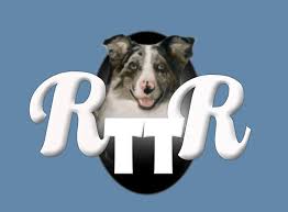 We apologize for any inconvenience. Safe Pet Rescue Inc Home Facebook