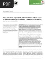 Image result for Searsia grossireticulata