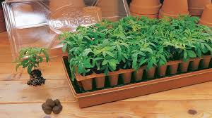 An ideal amendment for custom blend growing mixes for raised garden beds, container gardening and seed starting. Burpee Seed Starting Introduction Youtube