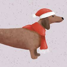 flora gabor flora gabor instagram photos and videos dachshund or the so called sausage dog dressed in fe sausage dog dog dresses dinosaur stuffed animal