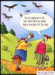 I M Not Saying We Are Old But I Don T Think We Should Stay In One Place For Too Long Grappige Plaatjes Grappig Grappige Quotes