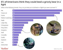 Bull shark who would win?: Rumble In The Jungle What Animals Would Win In A Fight Yougov