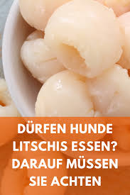 Durfen Hunde Litschis Essen Darauf Mussen Sie Achten Essen Litschis Lebensmittel Essen
