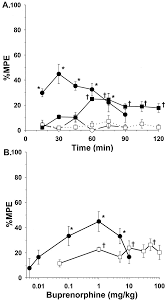 Note that naloxone has nothing to do with the effects of suboxone. Buprenorphine Substitution Ameliorates Spontaneous Withdrawal In Fentanyl Dependent Rat Pups Pediatric Research