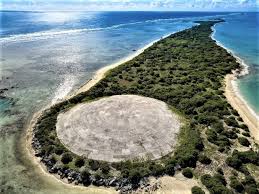 Salah satu geng yang terlibat dalam baku tembak hari minggu lalu. 5 Pulau Paling Berbahaya Di Dunia Beserta Faktanya Ilmugeografi Com