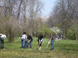 Primarul din adjud a suspendat ajutorul social al celor care au refuzat să muncească în folosul comunităţii: Cornel Itu Sfidare A Legii Munca In Folosul Comunitatii Nu Se AplicÄƒ In Mod Eficient Dejeanul Ro Suntem Deja Acolo