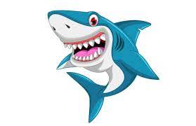 Fugu ikan buntal tidak mau dimasak, berusaha kabur namun akhirnya. Gambar Ikan Hiu Kartun Radea