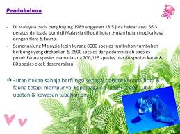 Pengertian flora dan fau ialah sebuah istilah untuk flora yaitu nama kelompok tanaman dan fauna yaitu nama kelompok hewan. Kepupusan Flora Flauna Ppt Download