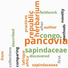 Image result for Chlorophytum burundiense