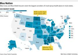 Which health insurance company is better? Antitrust Lawsuits Target Blue Cross And Blue Shield Wsj