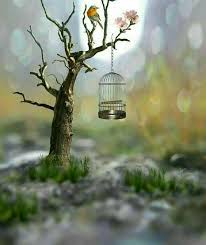 Pin By Alie Beijert On Resimler Miniature Photography Beautiful Nature Wallpaper Cool Pictures For Wallpaper