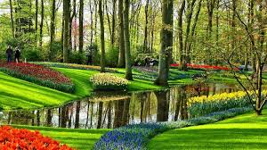 Willkommen im café botanischer garten! Keukenhof Flower Garden Near Amsterdam Amsterdam Info