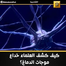 كيف كشف العلماء خداع موجات الدماغ خدعتالموجات الدماغية Brain Waves العلماء لمدة تزيد على القرن حيث اعتبر العديد من علماء الأعصاب أ Movie Posters Movies Poster
