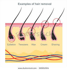 Examples Of Hair Removal Waxing Shaving Tweezers Creams Wax Wax Hair Removal Sugaring Hair Removal Hair Removal Diy