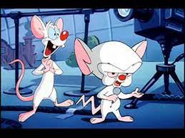 The brain the same thing we do every night, pinky. Pinky The Brain Theme Song Video Dailymotion