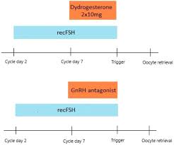 Image result for GnRH Stimulation Test