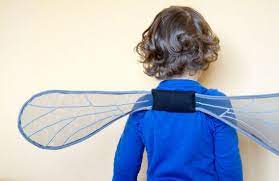 Realistic Handmade Gray Mosquito Wings Absolutely Necessary For Mosquito Fly Bug Or Any Insect Costume Also Great Fo Wings Dress Insect Wings Wings Costume
